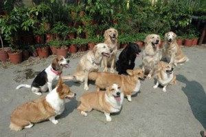 1380945220-2004747908