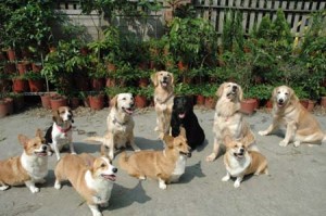 1380945220-965224258