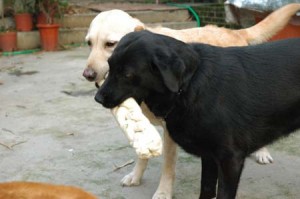 1380945224-1197106036