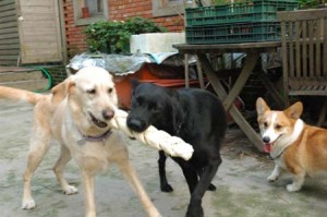 1380945225-4044712598