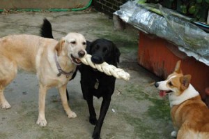 1380945225-969099006