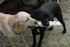 1380945226-1159870678