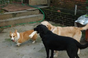 1380945226-1418592277