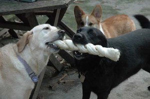 1380945226-431610320