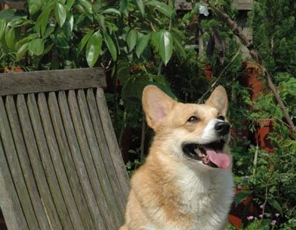 1380945228-3845211064