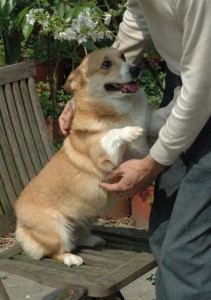 1380945229-142258042