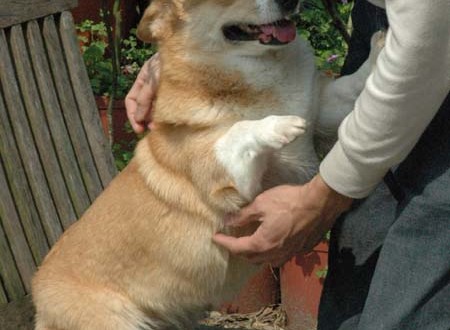 1380945229-142258042