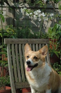 1380945229-312224459