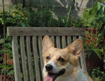 1380945229-312224459