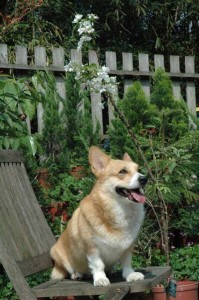 1380945229-622844822