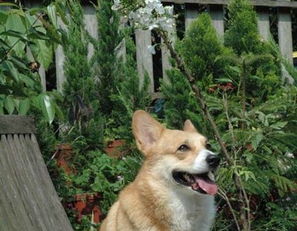 1380945229-622844822