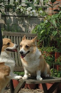 1380945230-1849121240