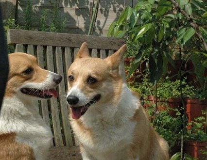 1380945230-1849121240