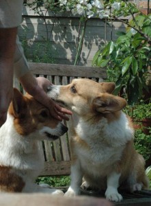 1380945230-2028327998