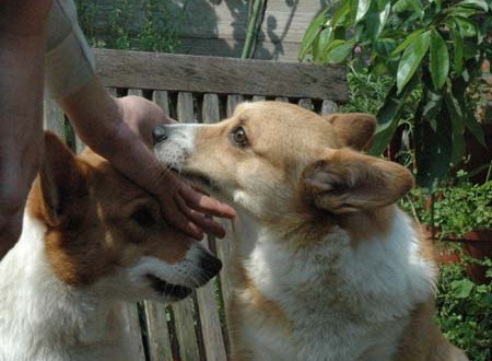 1380945230-2028327998