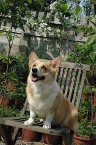 1380945230-872867729