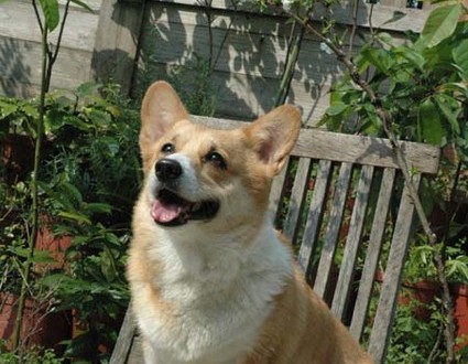 1380945230-872867729