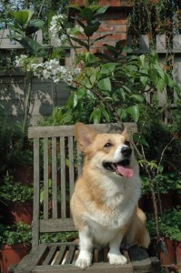 1380945231-2656843443