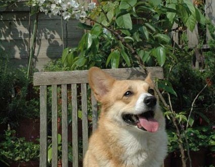 1380945231-2656843443