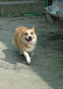 1380945231-403172402