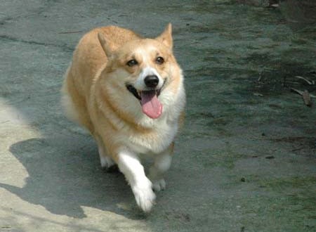 1380945231-403172402