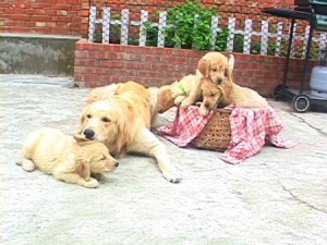 1380945234-470593608