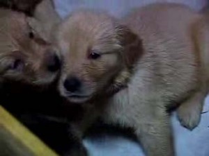 1380945235-2374701399