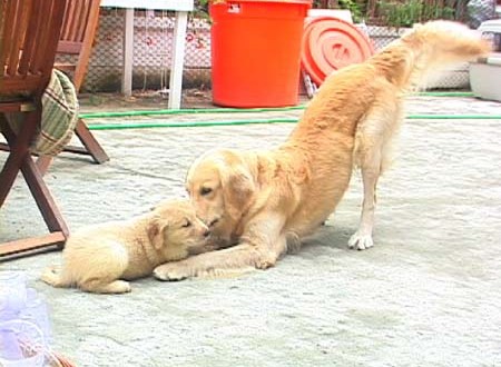 1380945235-2746562153