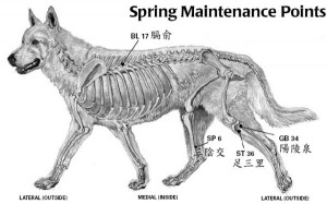 1380945237-2097854569