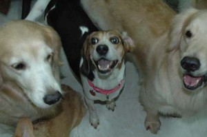 1380945238-2994979902