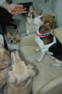 1380945238-3135515028