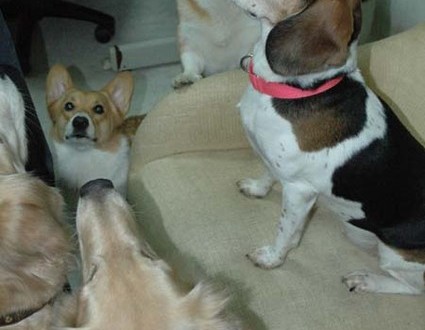 1380945238-3135515028