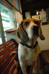 1380945238-356888314