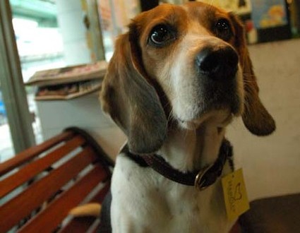 1380945238-356888314