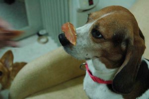 1380945239-2387953159