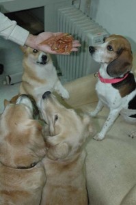 1380945239-2577483942