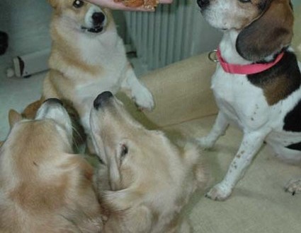 1380945239-2577483942