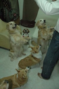 1380945239-2867036796