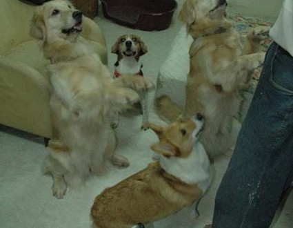 1380945239-2867036796