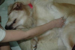 1380945249-1144827796