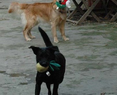 1380945258-1926361912