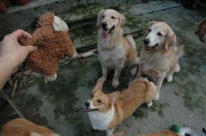 1380945258-3486817025