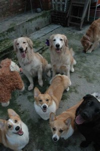 1380945258-3650255255