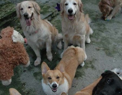 1380945258-3650255255