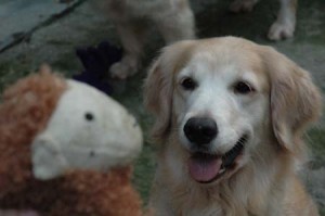 1380945259-2209929271