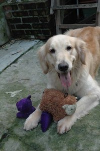 1380945259-3899454402