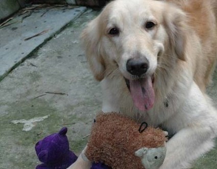 1380945259-3899454402