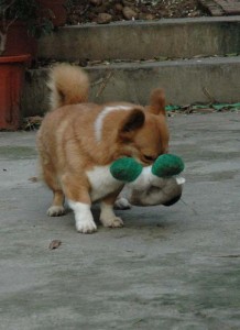 1380945260-1041429045