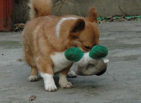 1380945260-1041429045