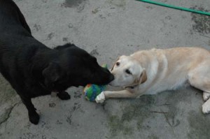 1380945260-1694317323